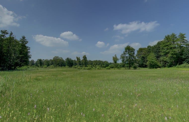 Weidse groene velden rondom vakantiehuisje in Hezingen, ideaal voor natuurliefhebbers, Twente, Overijssel.