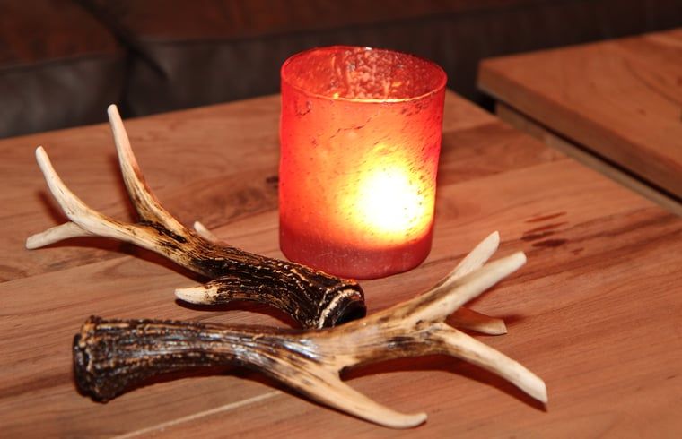 Dekorative Details im Wohnzimmer von Huisje in Hezingen, Ferienunterkunft in Twente, Overijssel.