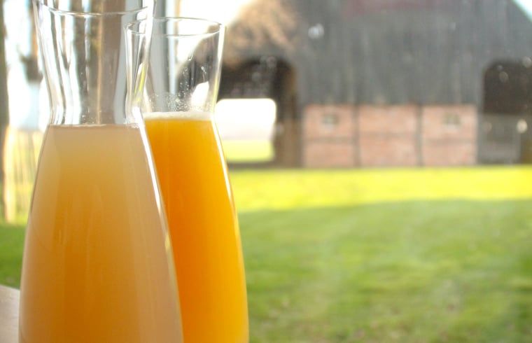 Unterkunft 521011 - Ferienhaus Twente - Vakantiehuis in Beuningen