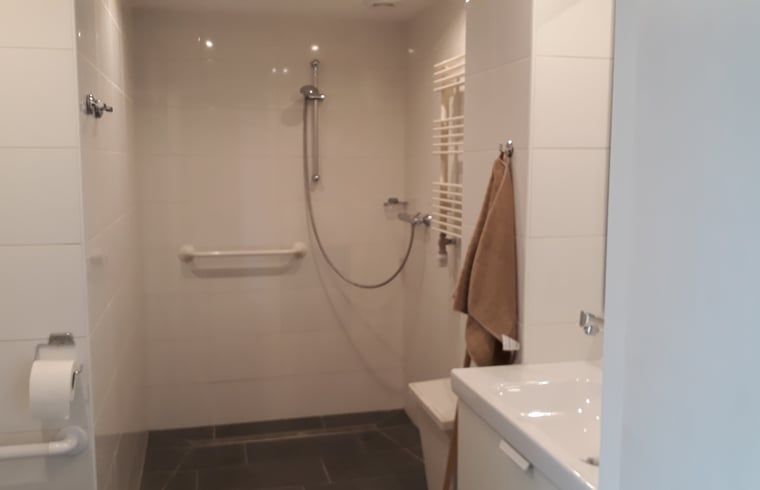 Moderne badkamer in Huisje in Beuningen, vakantiehuis in Twente, Overijssel met inloopdouche en stijlvolle inrichting.