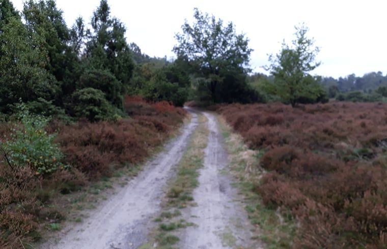 Verblijf 521021 - Vakantiewoning Twente - Huisje in Beuningen