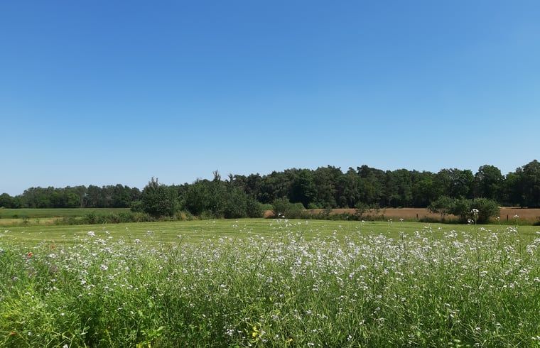 Verblijf 521021 - Vakantiewoning Twente - Huisje in Beuningen