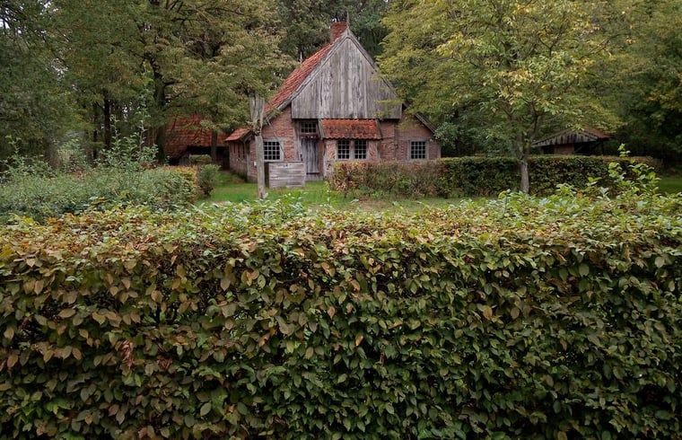 Verblijf 521021 - Vakantiewoning Twente - Huisje in Beuningen