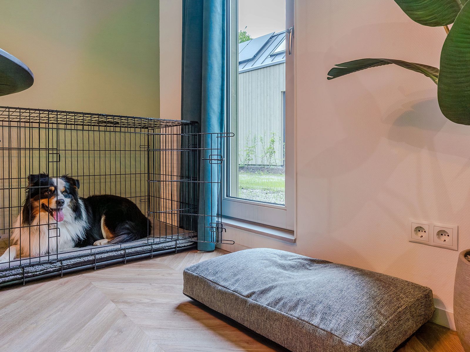 Verblijf 521024 - Bungalow Twente - 4-persoons hondenwoning | 4LD