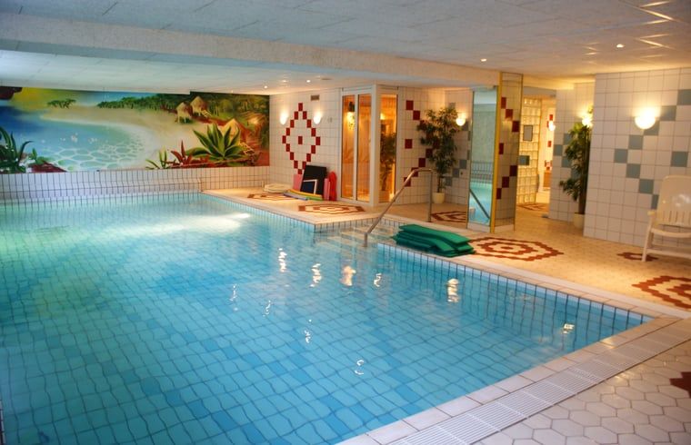 Binnenzwembad in Vakantiehuisje in Vasse, Twente, Overijssel voor ontspanning.