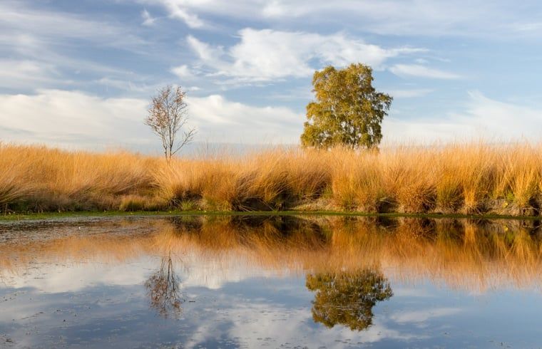 Guest house 521206 - Holiday property Twente - Vakantiehuis in Geesteren in Twente