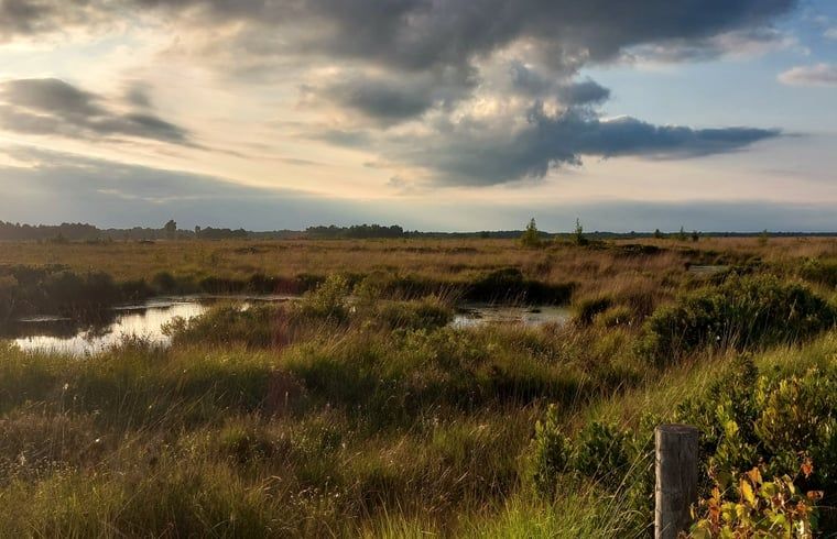 Guest house 521206 - Holiday property Twente - Vakantiehuis in Geesteren in Twente