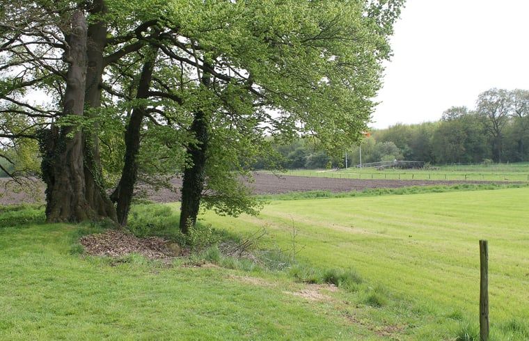 Bild 25