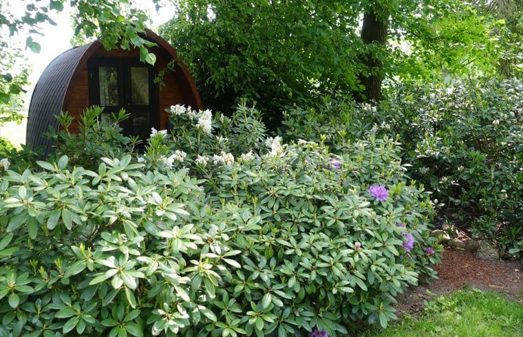 Guest house 521305 - Holiday property Twente - Vakantiehuisje in Overdinkel