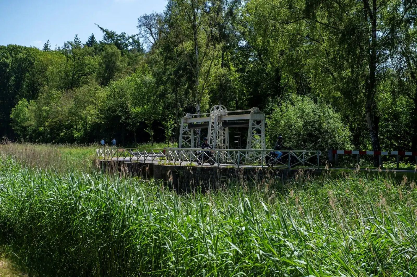 Vakantiehuis OV682 in Tilligte, Twente, omgeven door hoge bomen en groen.