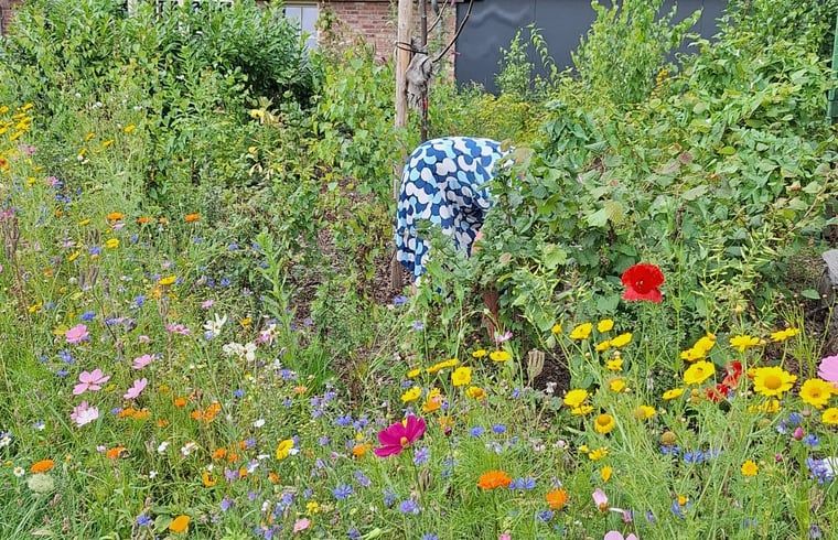 Unterkunft 521615 - Ferienhaus Twente - Vakantiehuisje in Tilligte