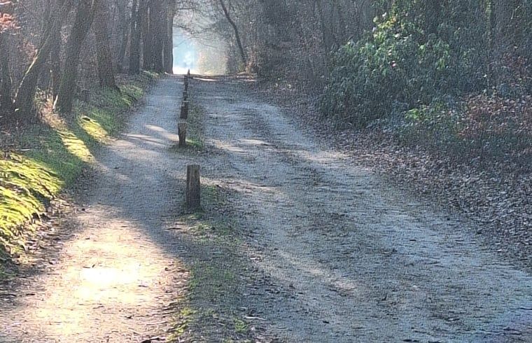 Unterkunft 521615 - Ferienhaus Twente - Vakantiehuisje in Tilligte