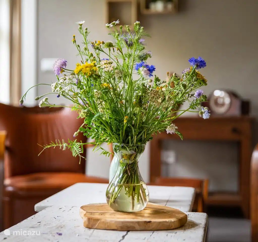 Guest house 521617 - Holiday property Twente - 't Veurhuus