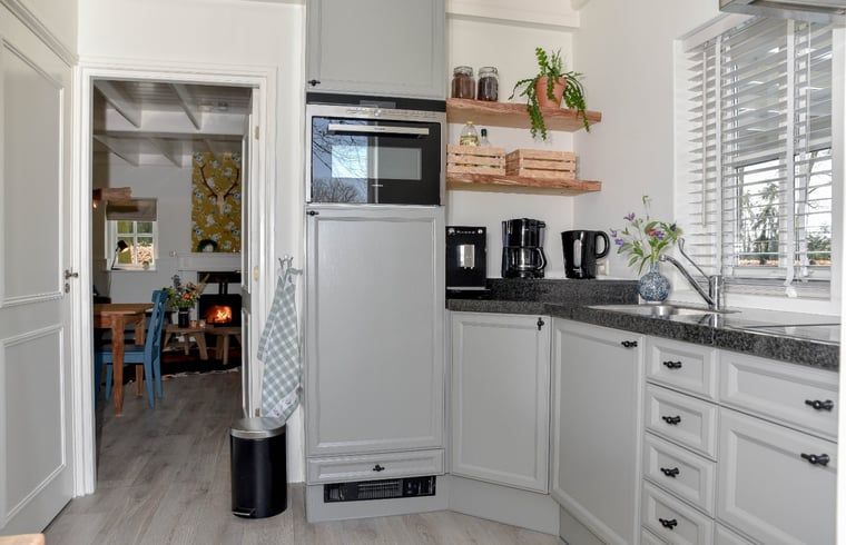 Gezellige woonkamer van Vakantiehuisje in Reutum, Twente met open haard en comfortabele zitruimte.