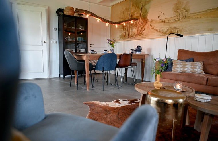 Decoratieve hoek in Vakantiehuisje in Reutum, Twente met moderne vaas en stijlvolle stoel.
