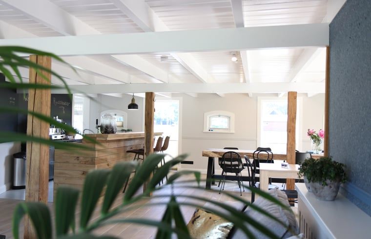 Lichte en ruime binnenruimte van Vakantiehuis in Reutum, Twente, Overijssel met moderne inrichting.