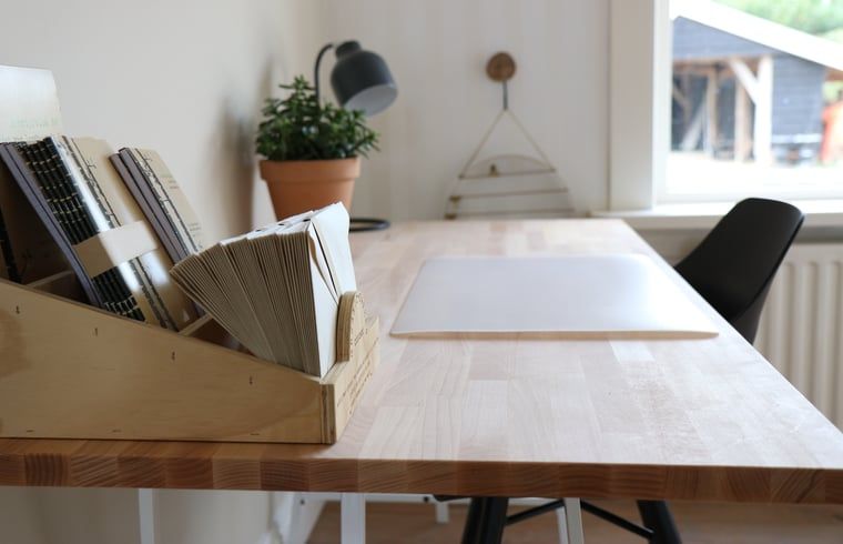 Minimalistisch bureau in Vakantiehuis in Reutum, Twente, Overijssel met boekenhouder en plant.
