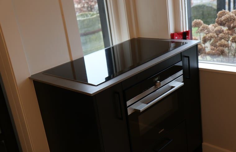 Compacte kookplaat in Vakantiehuis in Reutum, Twente, Overijssel met uitzicht op de omgeving.