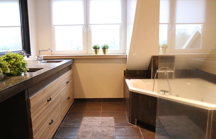 Luxe badkamer in Vakantiehuis in Reutum, Twente, Overijssel met groot bad en moderne wastafel.