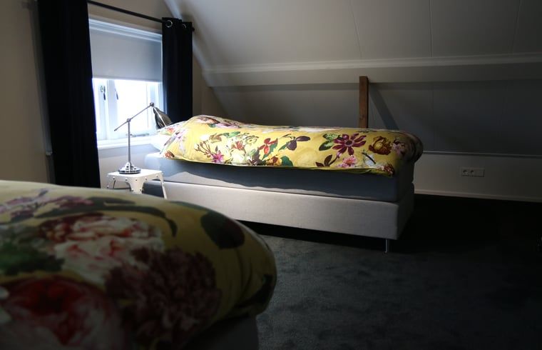 Stijlvolle slaapkamer in Vakantiehuis in Reutum, Twente, Overijssel met modern beddengoed.