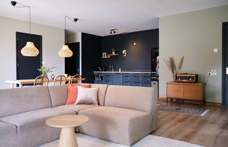 Cozy living room of Huisje in Reutum, a vacation home in Twente, Overijssel, with modern kitchen and stylish furnishings.