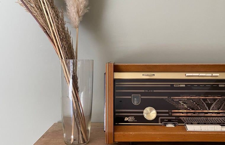 Guest house 521726 - Holiday property Twente - Huisje in Reutum