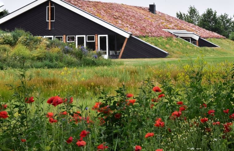Ferienhaus in Rijssen mit gruenem Dach und bunten Blumen in Twente, Overijssel.