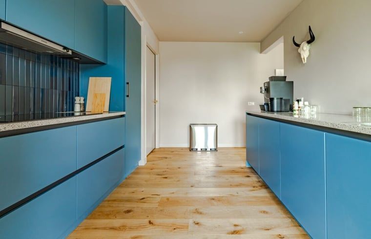 Ruime keuken in Vakantiehuisje in Rijssen, Twente, Overijssel met moderne apparatuur en blauwe kasten.