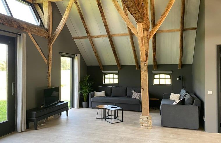 Comfortabele woonkamer in Vakantiehuisje Ambt Delden, Twente met ruime zitgelegenheid en houten details.