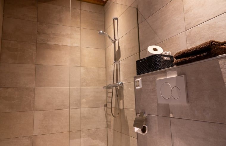 Stijlvolle badkamer in Huisje in Rossum, vakantiehuis in Twente, met moderne douche en voorzieningen.