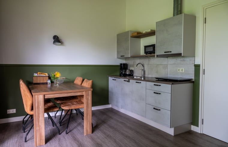 Guest house 522005 - Holiday property Twente - Vakantiehuis in Rossum