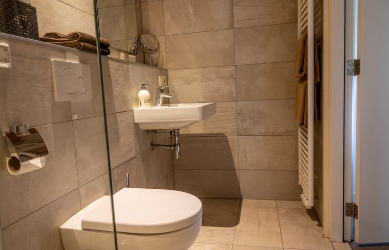 Guest house 522005 - Holiday property Twente - Vakantiehuis in Rossum