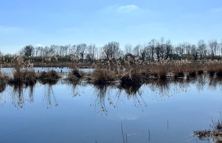 Bild 18