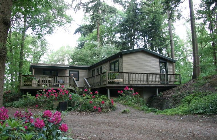 Vacation cottage in Haaksbergen, a charming vacation home in Twente, Overijssel, surrounded by green nature and colorful flowers.