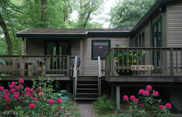 Vacation cottage in Haaksbergen, Twente with veranda surrounded by nature and flowers, ideal for a relaxing stay in Overijssel.