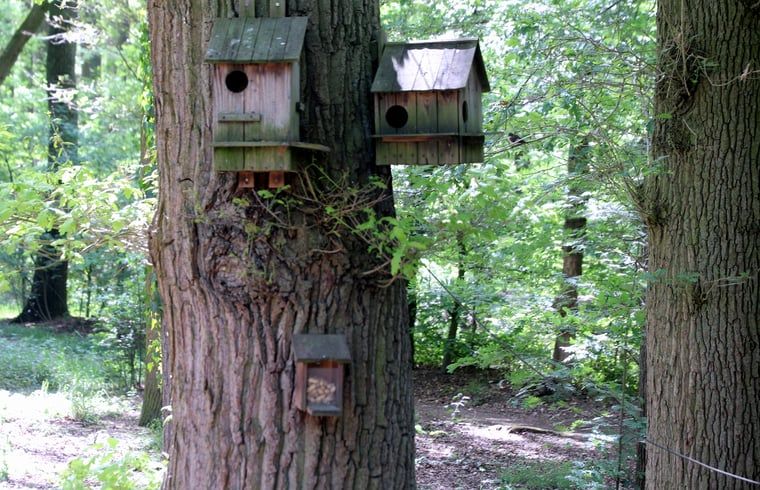 Guest house 522408 - Holiday property Twente - Vakantiehuisje in Haaksbergen