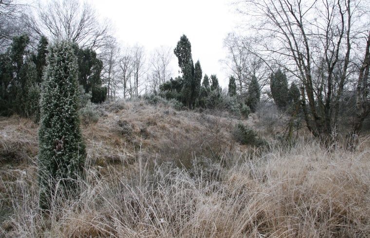 Guest house 522408 - Holiday property Twente - Vakantiehuisje in Haaksbergen