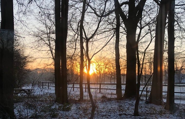 Unterkunft 522414 - Ferienhaus Twente - Huisje in Haaksbergen