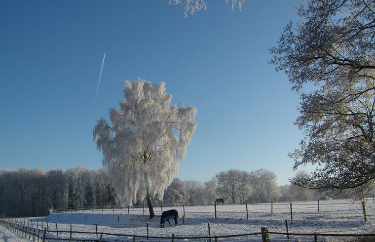 Unterkunft 522414 - Ferienhaus Twente - Huisje in Haaksbergen