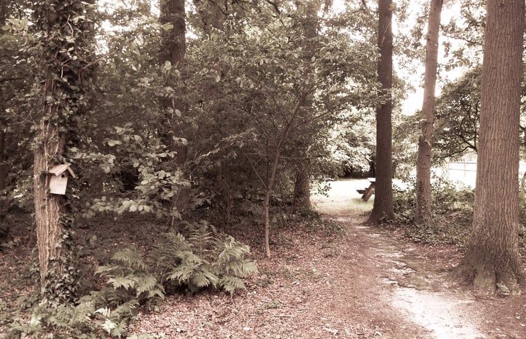 Unterkunft 522414 - Ferienhaus Twente - Huisje in Haaksbergen