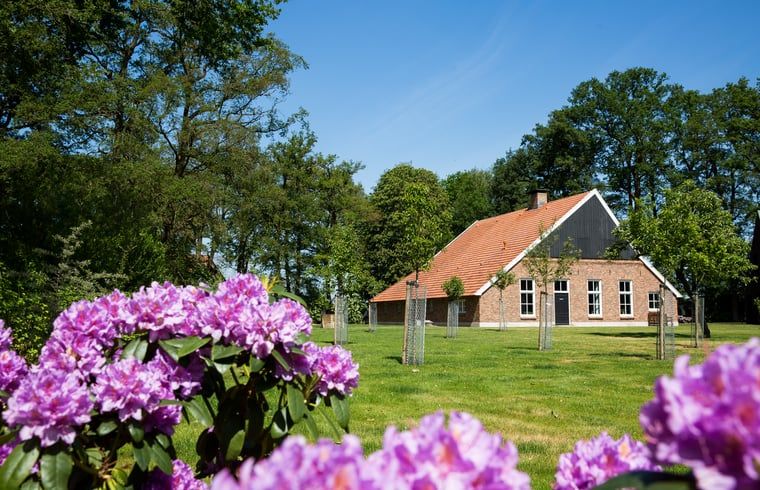 Discover Cottage in Haaksbergen, a cozy vacation home in Twente, Overijssel, surrounded by colorful flowers and green nature.