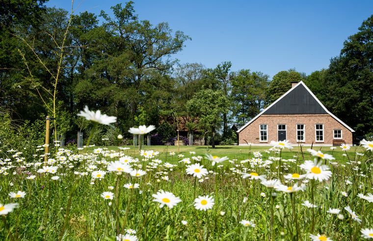 Cottage in Haaksbergen, a vacation home in Twente, Overijssel, surrounded by wild flowers and green nature for a relaxing stay.