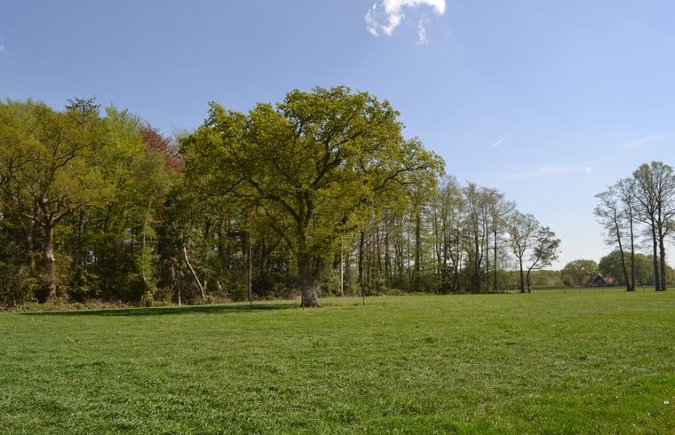 View of the green surroundings of Cottage in Haaksbergen, vacation home in Twente, Overijssel, surrounded by nature and tranquility.