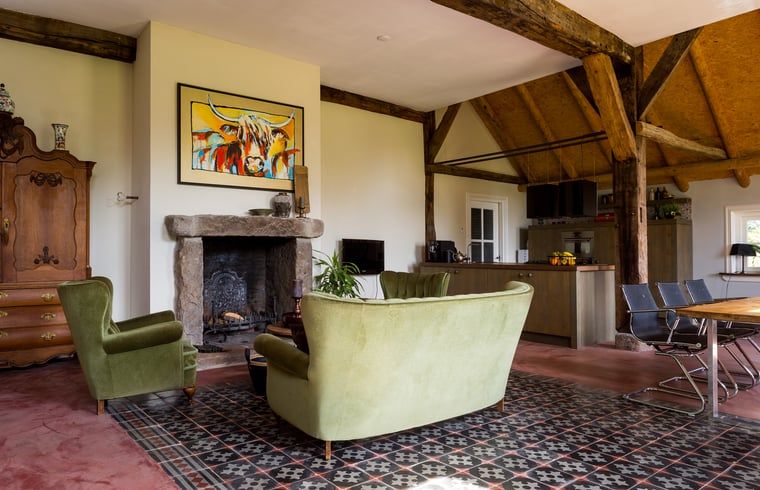 Cozy living room of Huisje in Haaksbergen, vacation home in Twente, Overijssel, with authentic fireplace and comfortable seating area.