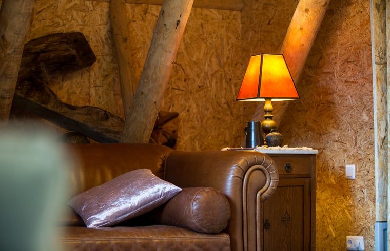 Guest house 522416 - Holiday property Twente - Huisje in Haaksbergen