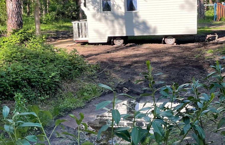 Huisje in Haaksbergen vakantiehuis in Twente, Overijssel met uitzicht op vijver en natuur.