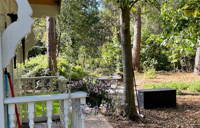 Veranda van Huisje in Haaksbergen, vakantiehuis in Twente, Overijssel omgeven door groene natuur.