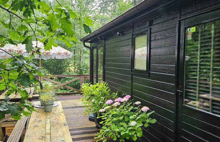 Geniet van de groene omgeving op het terras van Huisje in Haaksbergen, een vakantiehuis in Twente, Overijssel.
