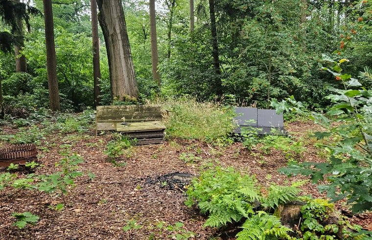 Verblijf 522424 - Vakantiewoning Twente - Huisje in Haaksbergen