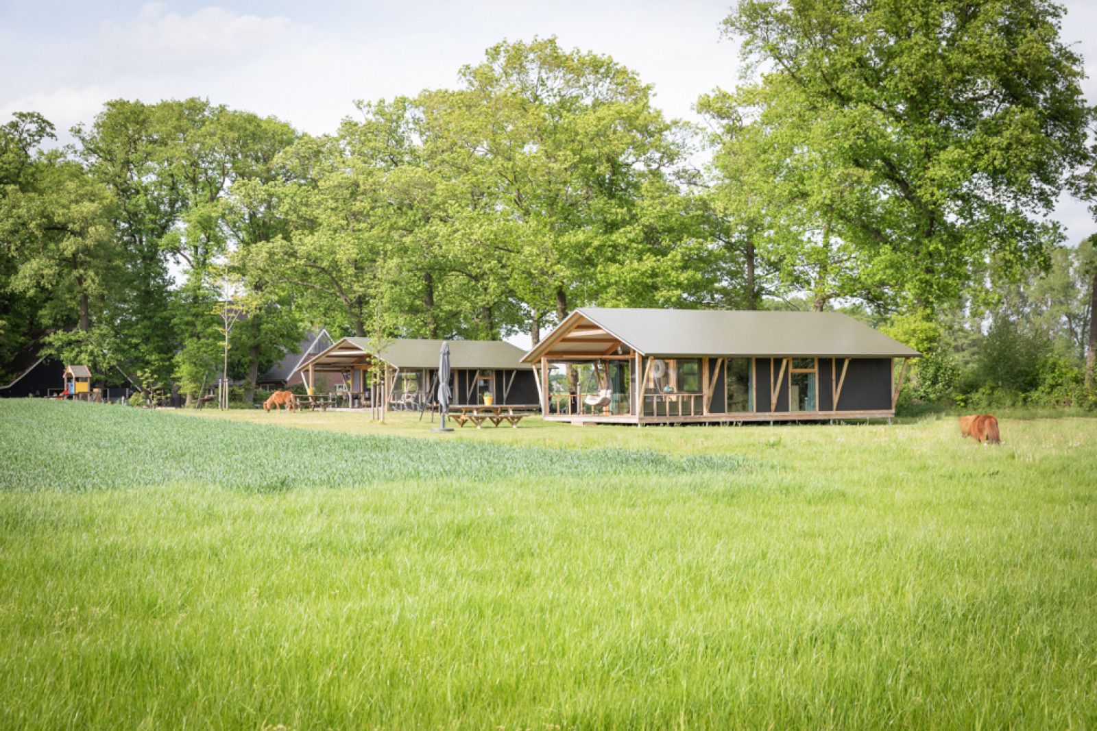 Verblijf 522442 - Vakantiewoning Twente - Luxe lodge